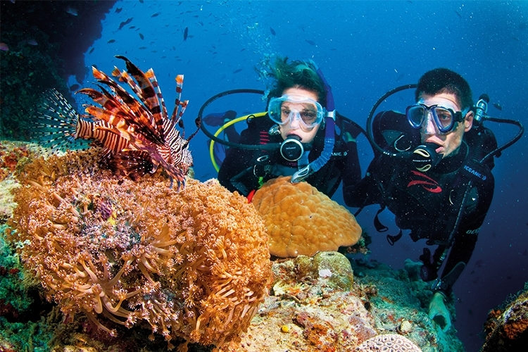 DIVING, SNORKELING AND WATCHING CORAL REEFS